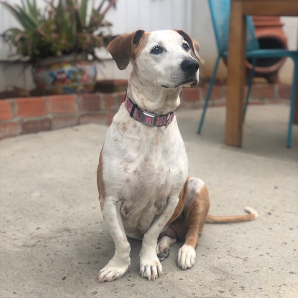 Meet your Posher, Debby - Picture 2 of 2